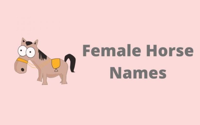 Gold horse names female