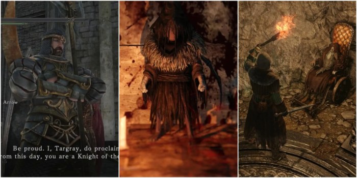 Dark souls 2 covenants