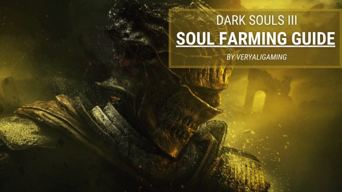 Dark souls 3 farming