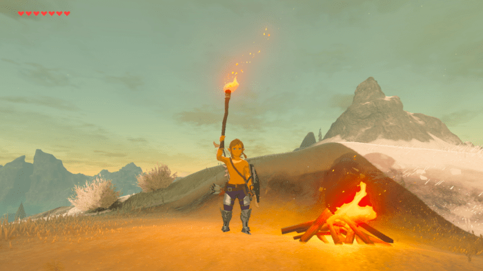 Breath of the wild torch