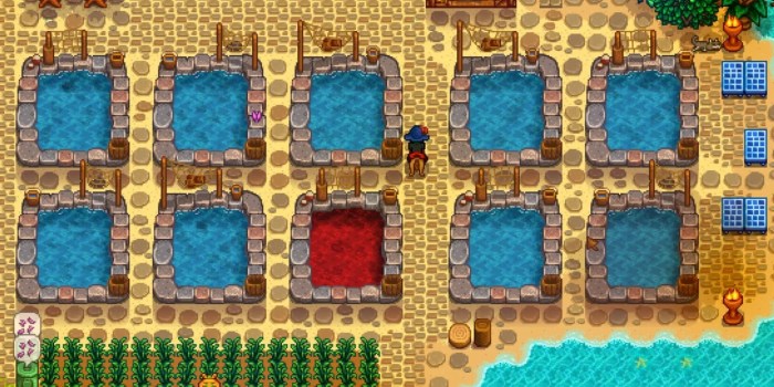 Stardew pond