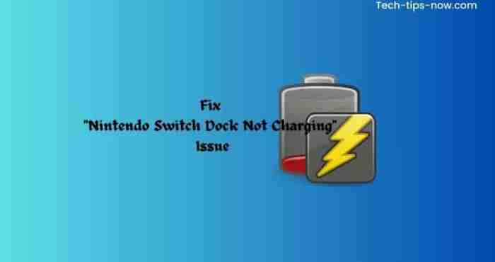 Switch dock not charging