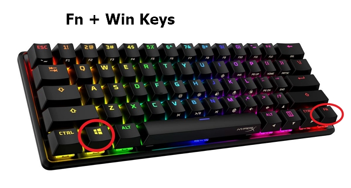 How to disable window key