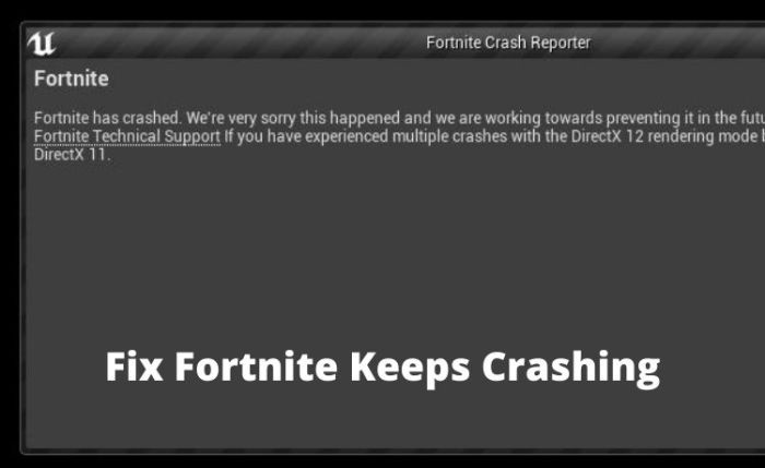 Did epic games crash