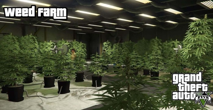Gta online weed farm