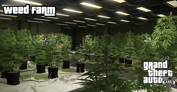 Gta 5 weed farm profit