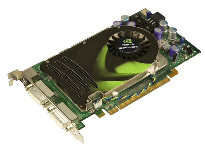 Directx 10 graphics card