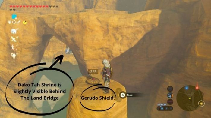 Zelda totk gerudo shield