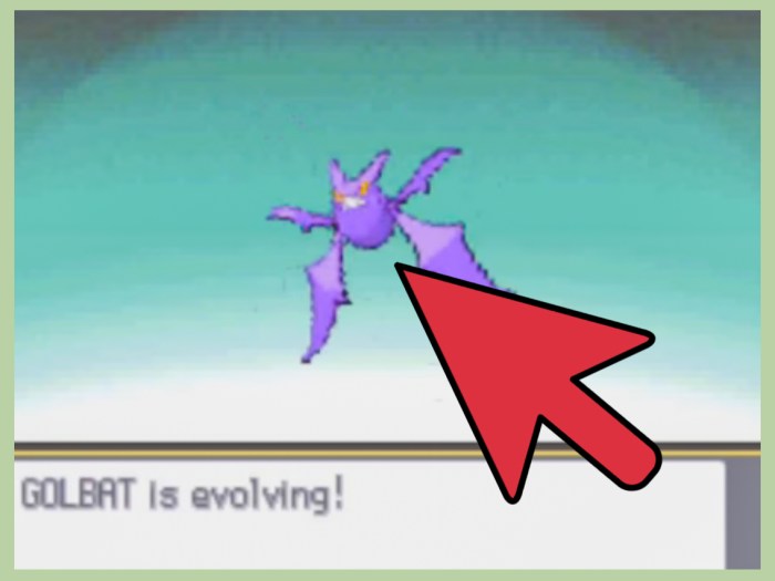 How do you get a crobat