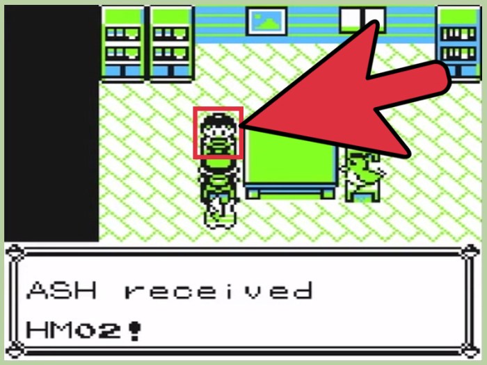 Fly hm pokemon yellow