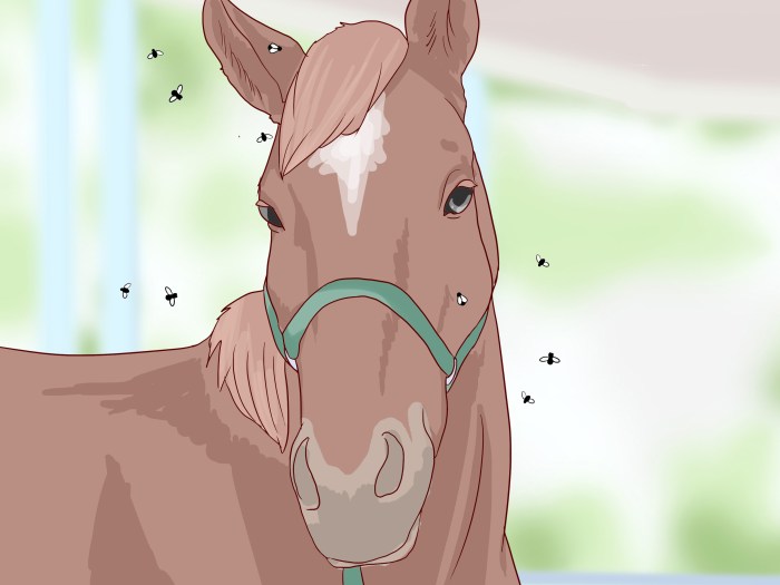 How to get rid of horses