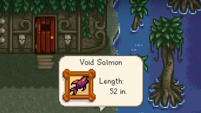 Where to get void salmon