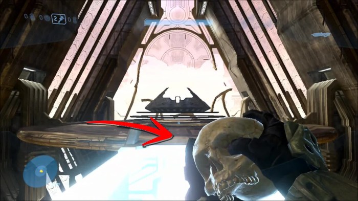 Halo 3 iwhbyd skull