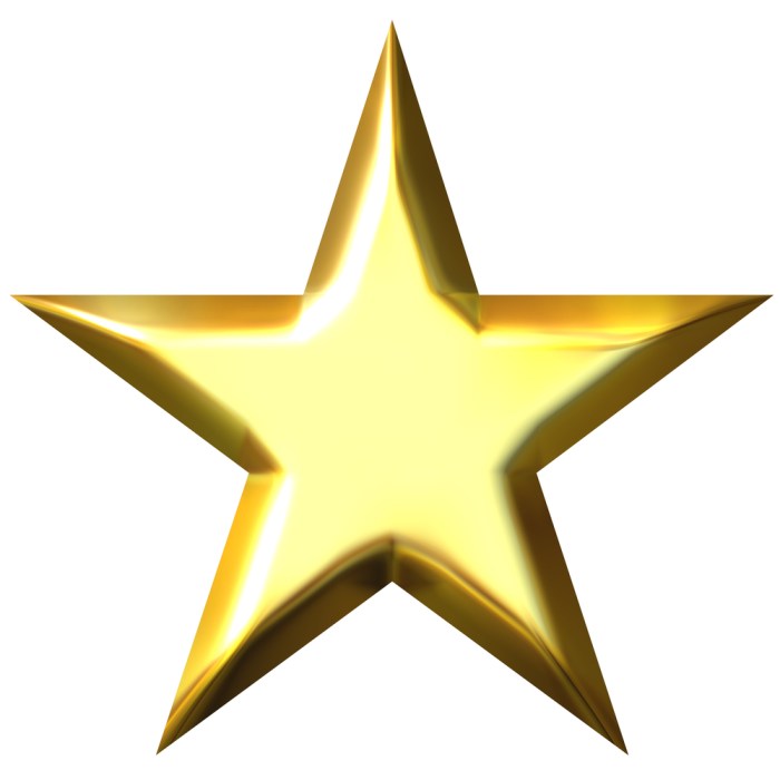 Great job gold star