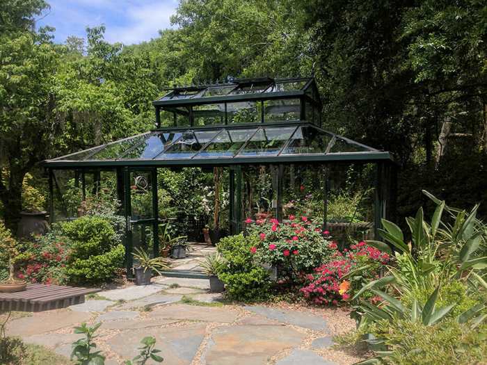 Fruit trees in greenhouse