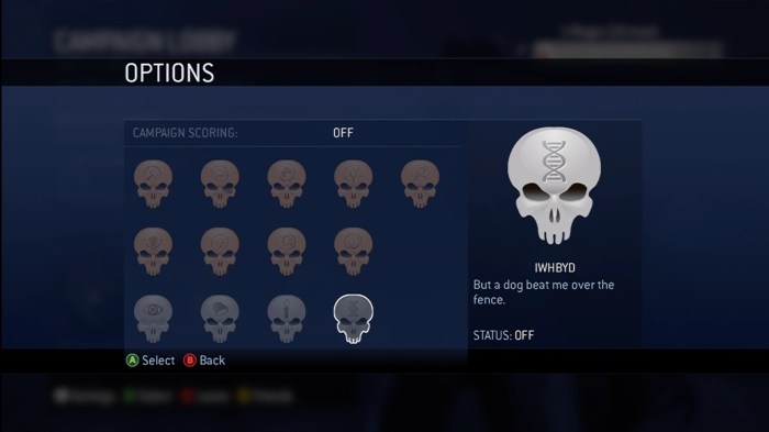 Iwhbyd skull halo 3