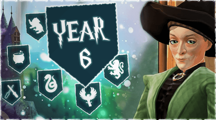 Hogwarts mystery year 6