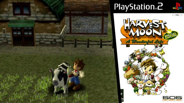 Harvest moon games ps2