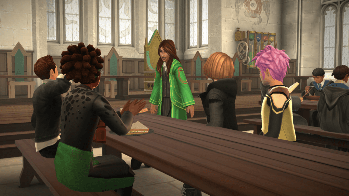 Hogwarts mystery year 6