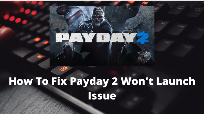 Why wont payday 2 launch