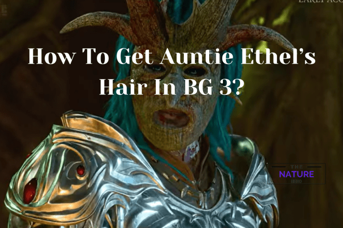 How to get hags hair bg3