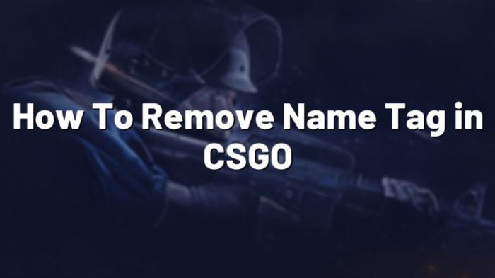 Csgo remove name tag