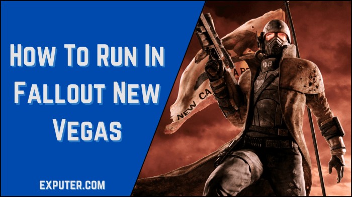 Fallout new vegas run
