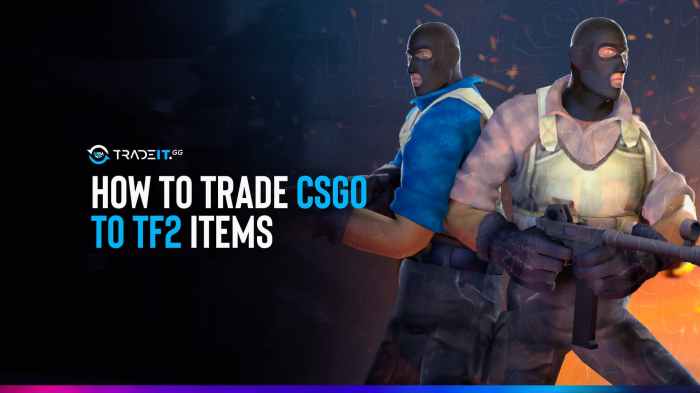 Tf2 items for csgo items