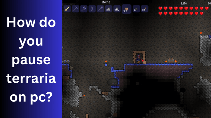 Terraria