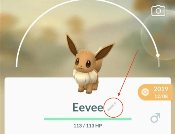 Eevee trick