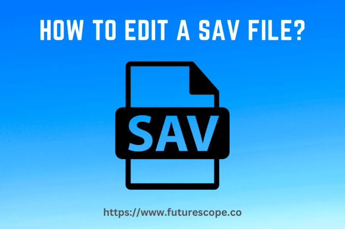 How to edit sav file