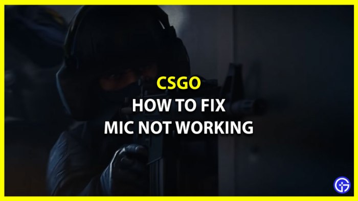 Csgo using wrong mic