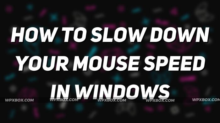 Mouse speed slowed down