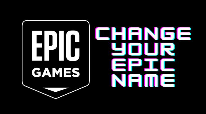 Fortnite username epic games change