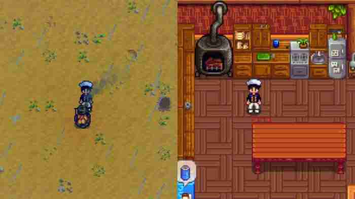 Cook in stardew valley