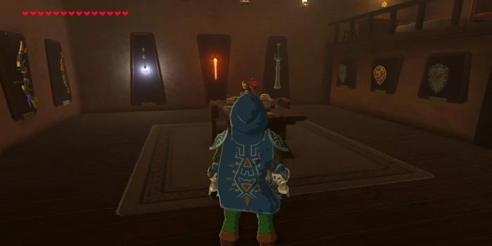 Zelda house breath wild buying