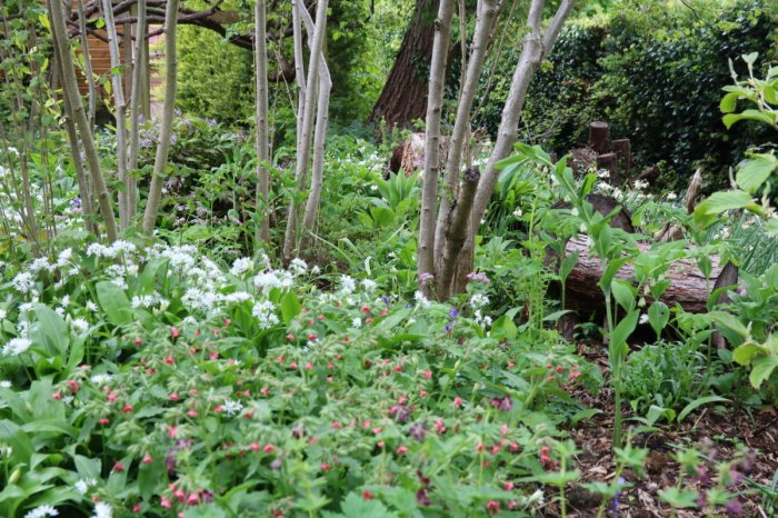 Planting in the woods