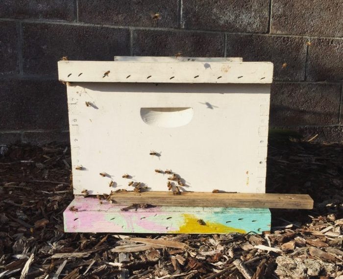 Beehive hive carolinahoneybees