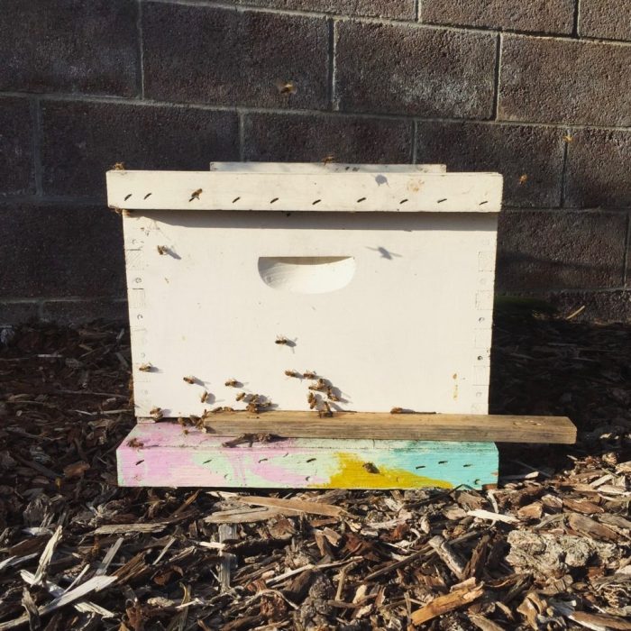 Beehive hive carolinahoneybees