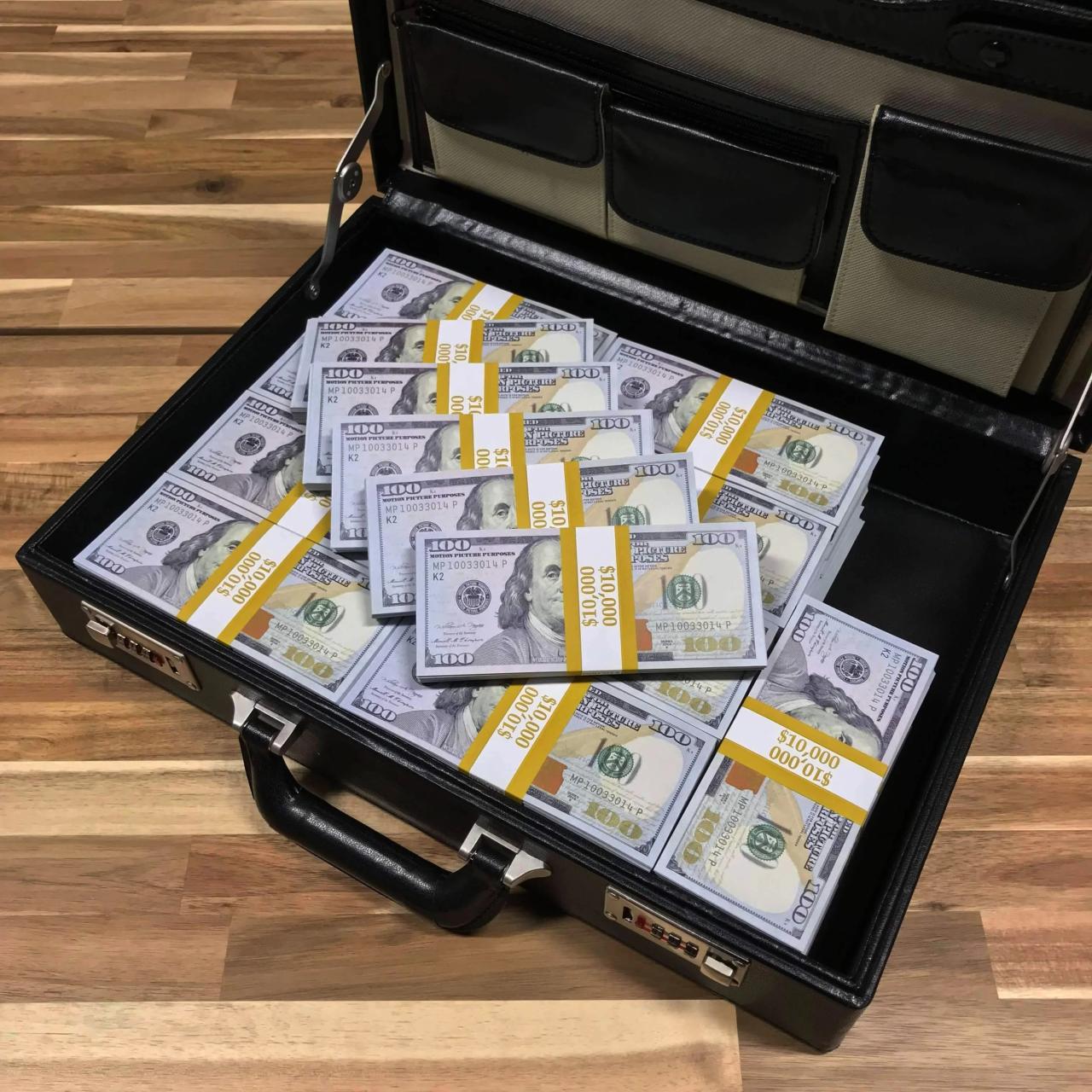 Briefcase of cash gungeon