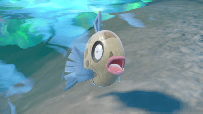 Where to catch feebas