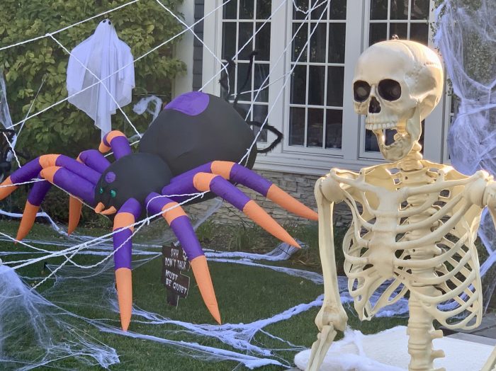 Skeleton riding a spider