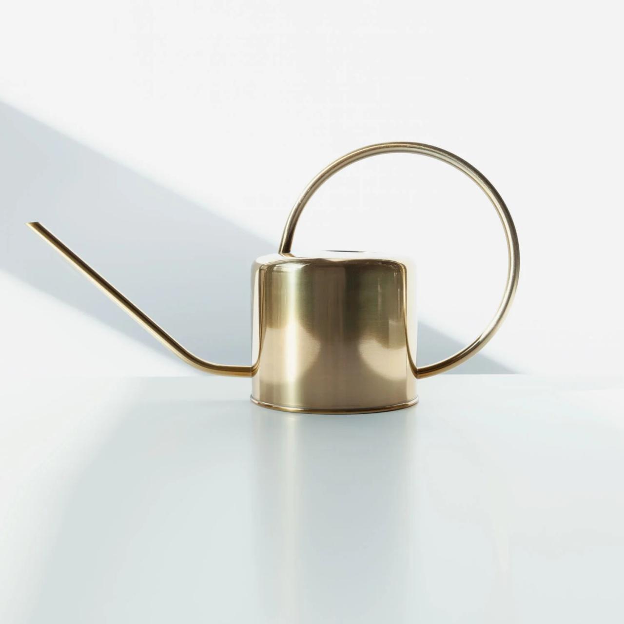 Golden watering can acnh