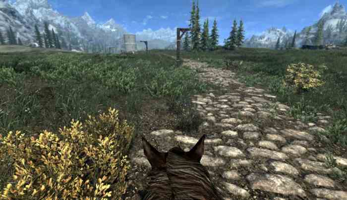 Enhanced camera skyrim se