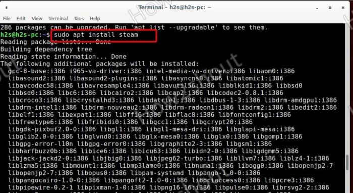 Install steam on debian