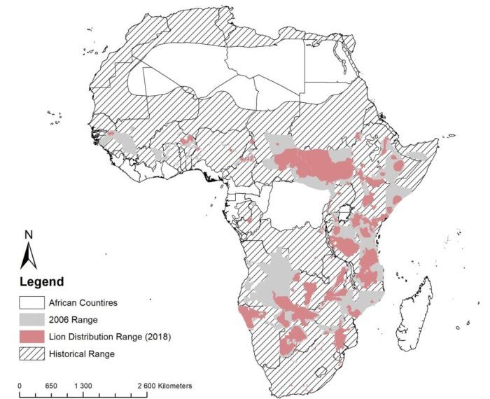 Lion king map deviantart pride lands lions salvato da