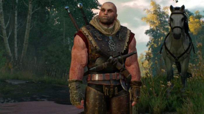 Letho witcher
