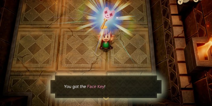 Face key link's awakening