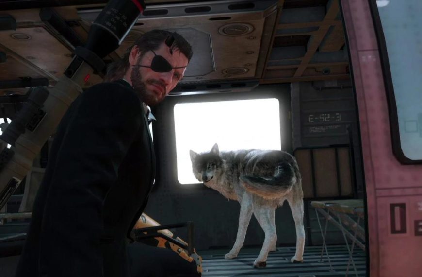 Dog mgsv description