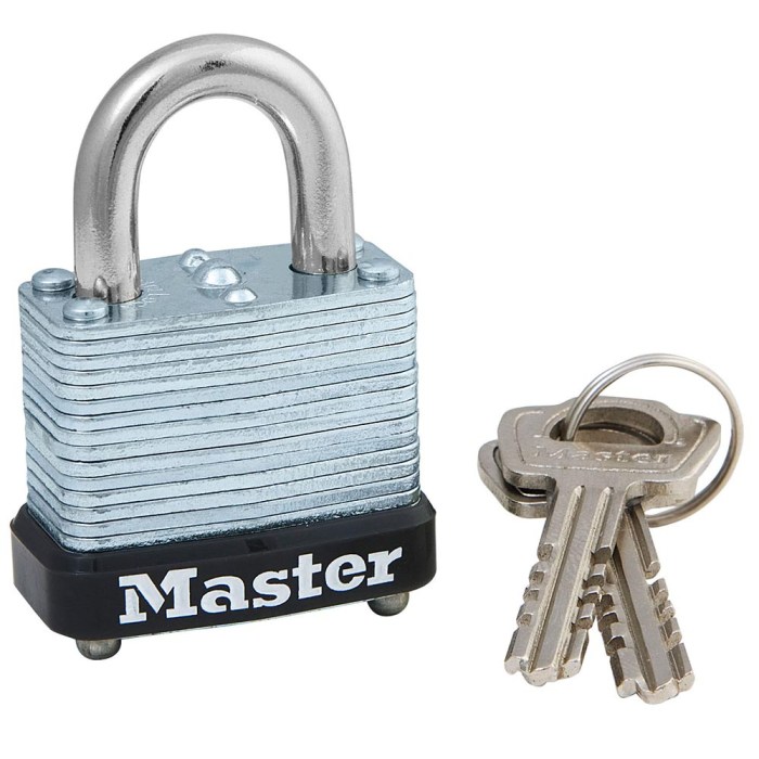 Master lock skeleton key